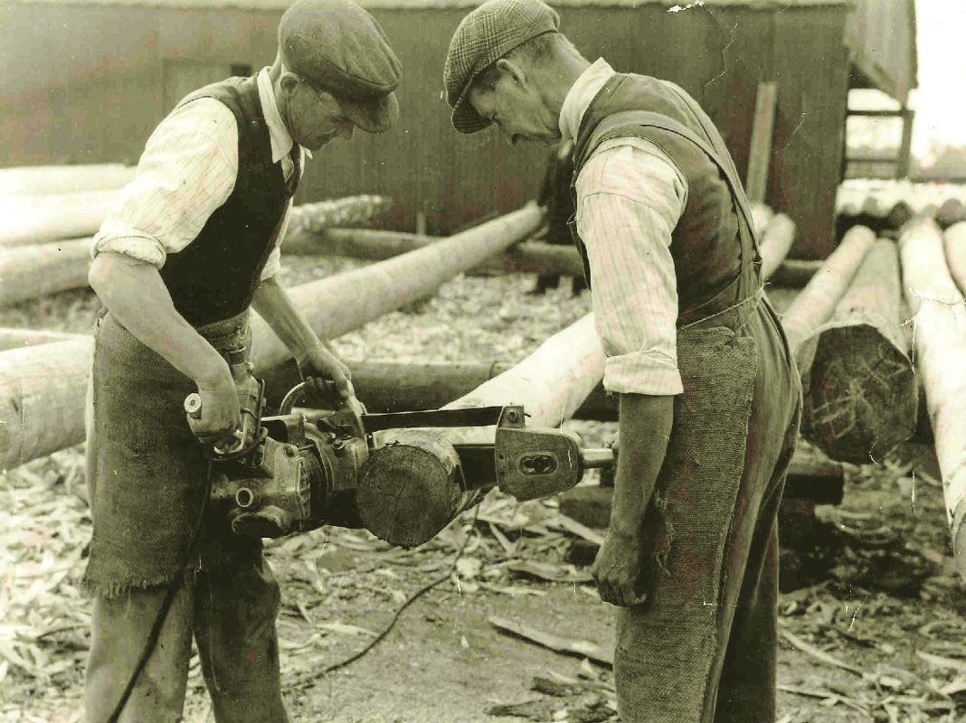 A black and white photograph of Telegraph poles being sawn. Two in flat caps men are operating a powered saw.