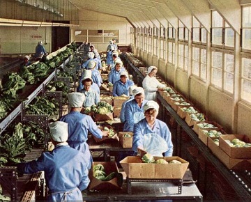 an image of the Marshall of Butterwick packing in 1964